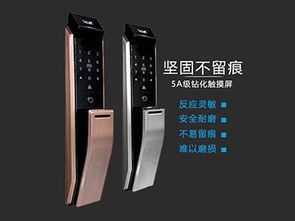 廣東智能鎖廠家直銷 惠州智能鎖模具